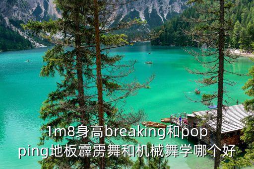 1m8身高breaking和popping地板霹雳舞和机械舞学哪个好