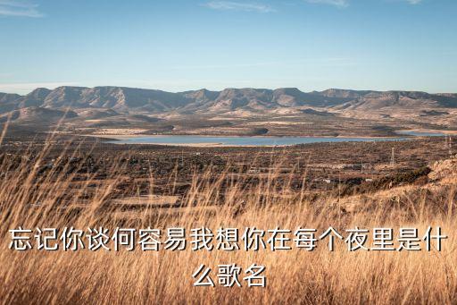 忘记你谈何容易我想你在每个夜里是什么歌名