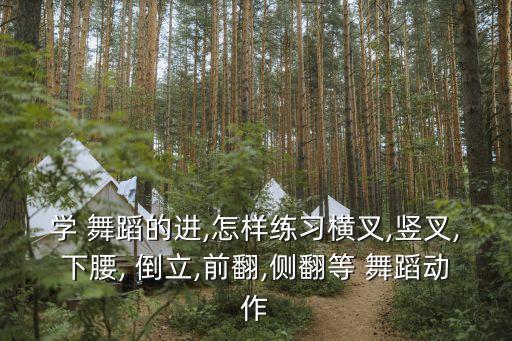 学 舞蹈的进,怎样练习横叉,竖叉,下腰, 倒立,前翻,侧翻等 舞蹈动作