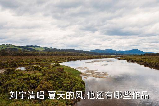 刘宇清唱 夏天的风,他还有哪些作品