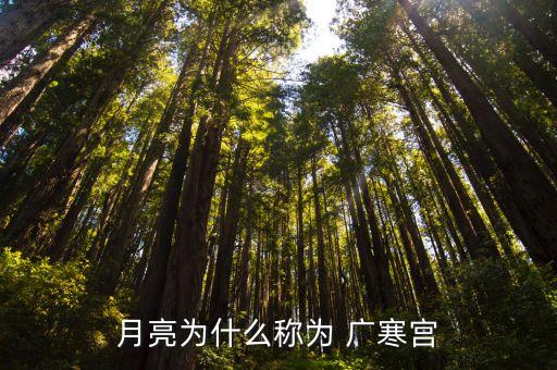 广寒宫舞蹈的介绍