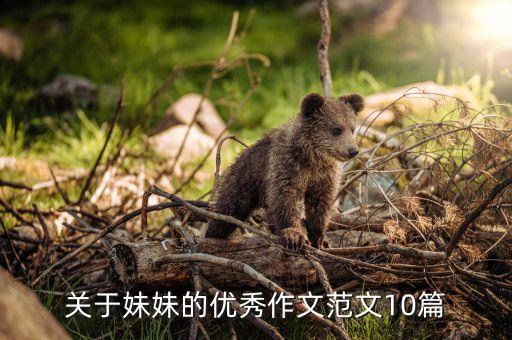 关于妹妹的优秀作文范文10篇