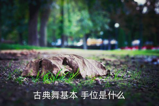 古典舞基本 手位是什么