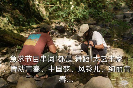 急求节目串词!都是 舞蹈!大艺术家、舞动青春、中国梦、风铃儿、绚丽青春...
