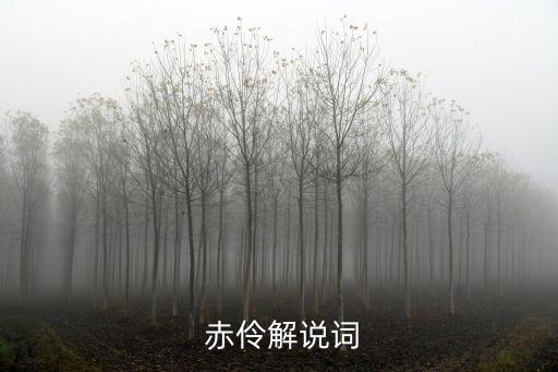  赤伶解说词