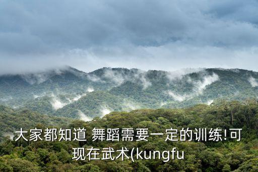 大家都知道 舞蹈需要一定的训练!可现在武术(kungfu