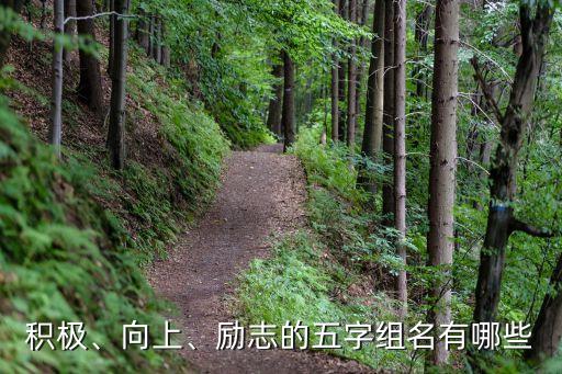 积极、向上、励志的五字组名有哪些