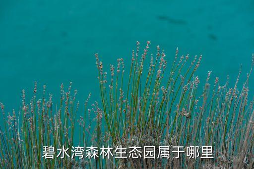  碧水湾森林生态园属于哪里