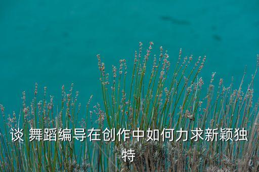 谈 舞蹈编导在创作中如何力求新颖独特