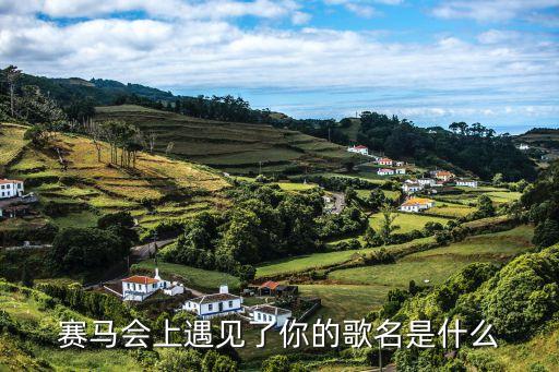 赛马会上遇见了你的歌名是什么