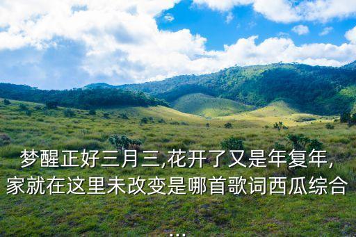 我家住在桃花山的演出舞蹈