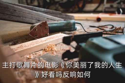 主打歌舞片的电影《你美丽了我的人生》好看吗反响如何