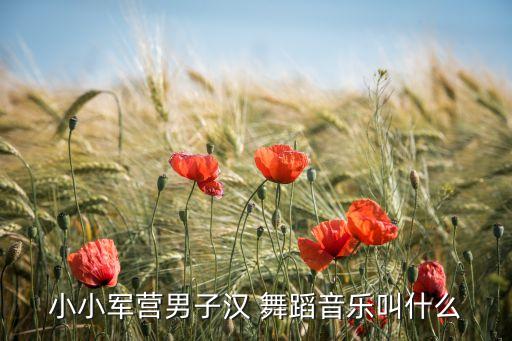 小小军营男子汉 舞蹈音乐叫什么