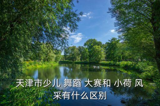 天津市少儿 舞蹈 大赛和 小荷 风采有什么区别
