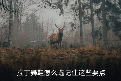 拉丁舞鞋怎么选记住这些要点