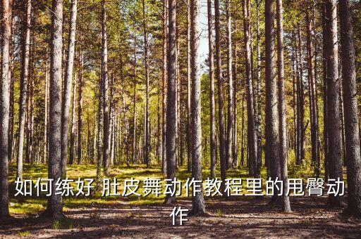舞蹈教学肚皮舞,教学舞蹈