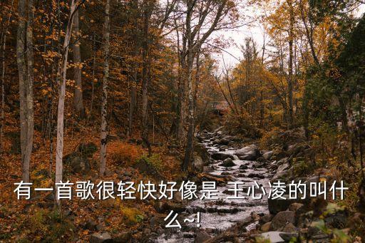 有一首歌很轻快好像是 王心凌的叫什么~!