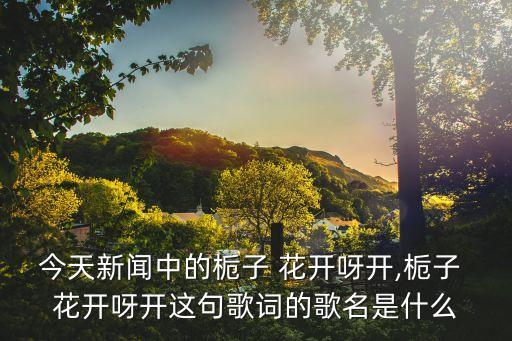桅子花开广场舞蹈,幼儿园毕业舞蹈桅子花开