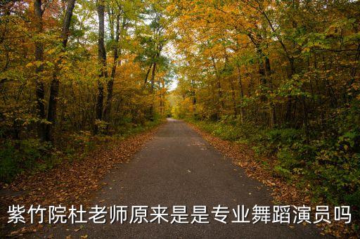 紫竹院杜老师原来是是专业舞蹈演员吗