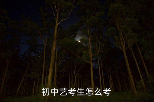 初三怎么考爵士舞蹈特长生