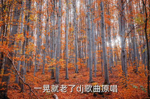 老人版一晃就老了舞蹈