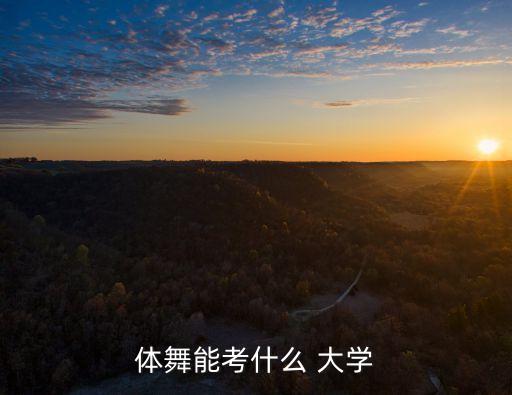 体舞能考什么 大学