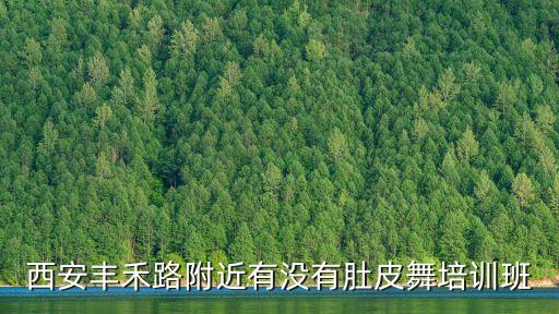 舞之舞国际舞蹈俱乐部,三明心舞流行舞蹈俱乐部