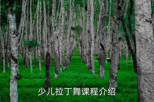 舞蹈培训的宗旨