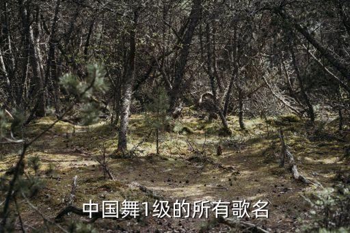 中国舞1级的所有歌名