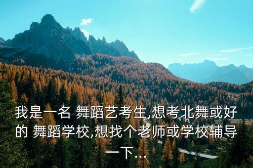 我是一名 舞蹈艺考生,想考北舞或好的 舞蹈学校,想找个老师或学校辅导一下...