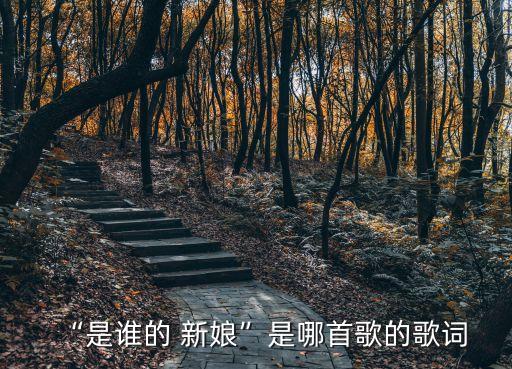 “是谁的 新娘”是哪首歌的歌词