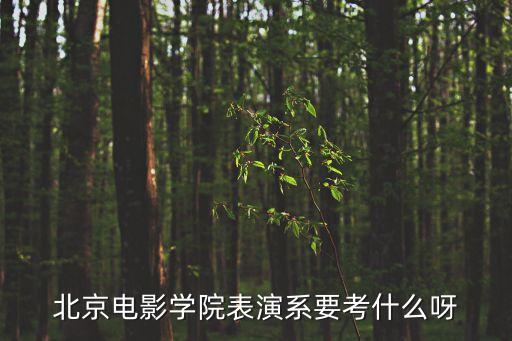 北京电影学院表演系要考什么呀