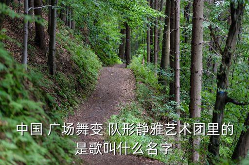 中国 广场舞变 队形静雅艺术团里的是歌叫什么名字