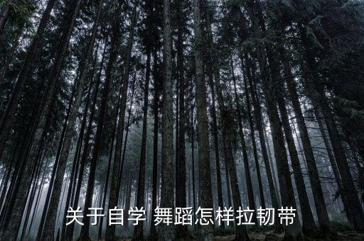 关于自学 舞蹈怎样拉韧带