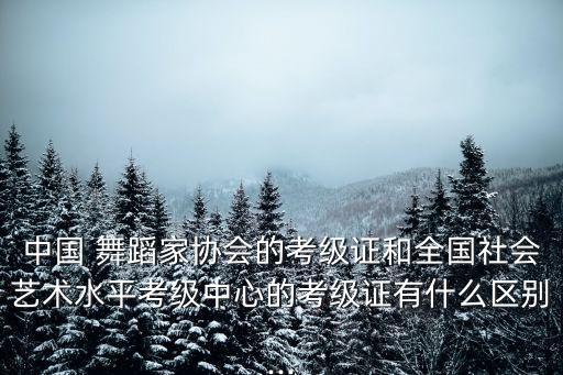 中国 舞蹈家协会的考级证和全国社会艺术水平考级中心的考级证有什么区别...