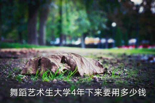  舞蹈艺术生大学4年下来要用多少钱
