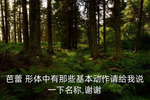 好看形体舞蹈女儿情,好看的形体舞蹈教学视频