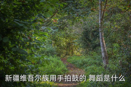 新疆维吾尔族用手拍鼓的 舞蹈是什么