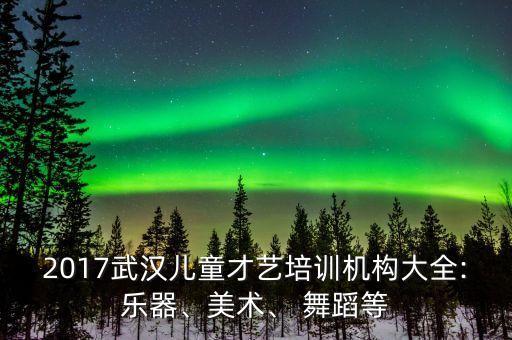 2017武汉儿童才艺培训机构大全:乐器、美术、 舞蹈等