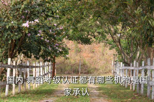 国内 舞蹈考级认证都有哪些机构是国家承认