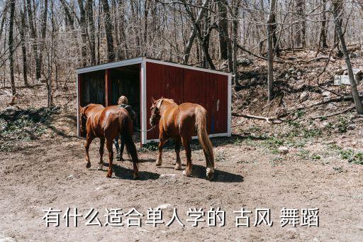 有什么适合单人学的 古风 舞蹈