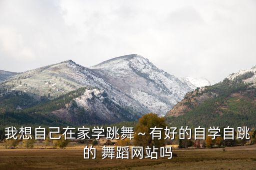 我想自己在家学跳舞～有好的自学自跳的 舞蹈网站吗