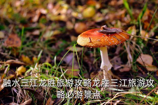 融水三江龙胜旅游攻略龙胜三江旅游攻略必游景点