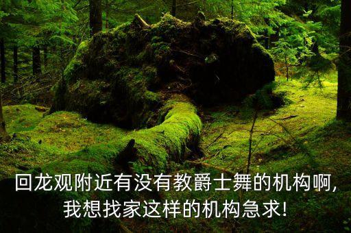 深圳舞蹈团培训工作室