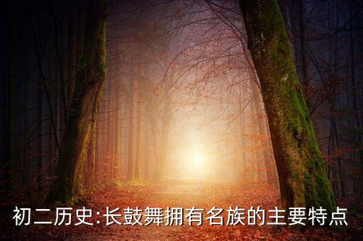 初二历史:长鼓舞拥有名族的主要特点
