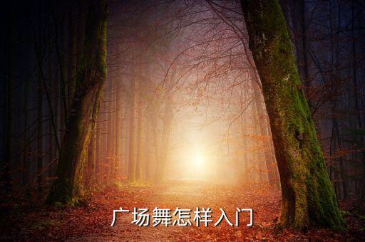 舞蹈初学者动作分解动作,舞蹈教学视频初学者分解简单
