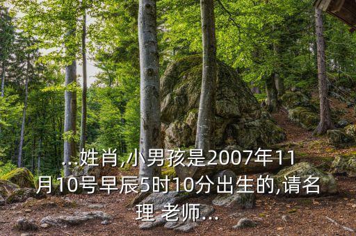 ...姓肖,小男孩是2007年11月10号早辰5时10分出生的,请名理 老师...