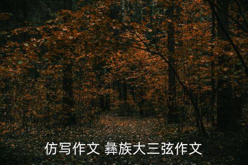 石林彝族舞蹈