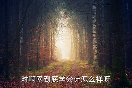 对啊网到底学会计怎么样呀