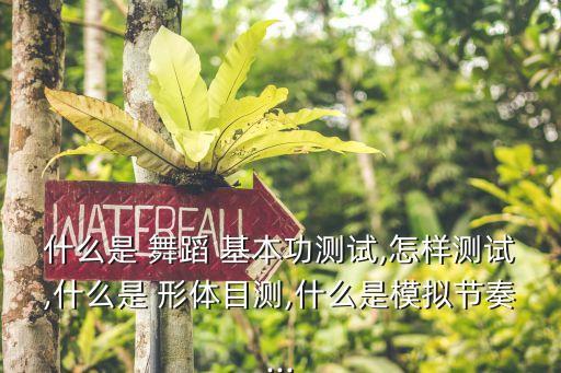 舞蹈形体基本功,幼儿舞蹈形体基本功内容及图解